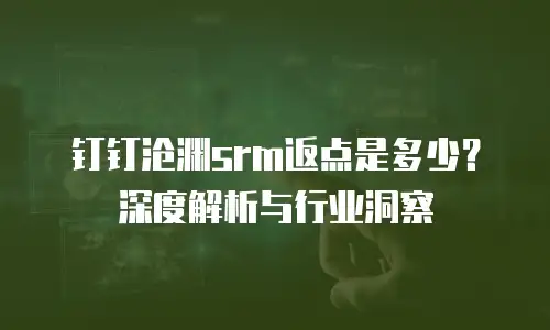 钉钉沧渊srm返点是多少？深度解析与行业洞察