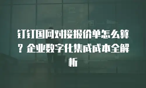 钉钉国网对接报价单怎么算？企业数字化集成成本全解析