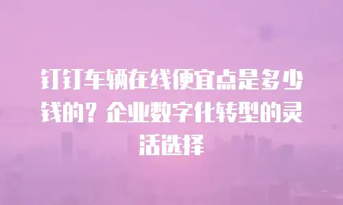 钉钉车辆在线便宜点是多少钱的？企业数字化转型的灵活选择