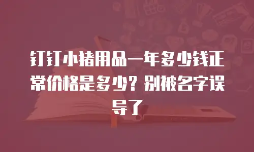钉钉小猪用品一年多少钱正常价格是多少？别被名字误导了