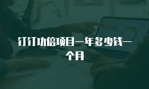 钉钉功倍项目一年多少钱一个月