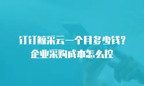 钉钉鲸采云一个月多少钱？企业采购成本怎么控