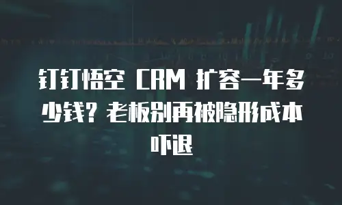 钉钉悟空 CRM 扩容一年多少钱？老板别再被隐形成本吓退