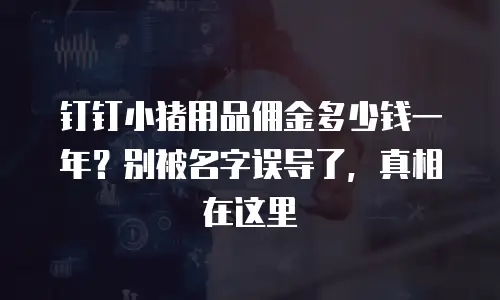 钉钉小猪用品佣金多少钱一年？别被名字误导了，真相在这里