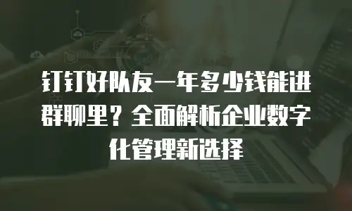 钉钉好队友一年多少钱能进群聊里？全面解析企业数字化管理新选择