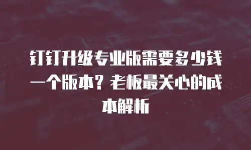钉钉升级专业版需要多少钱一个版本？老板最关心的成本解析