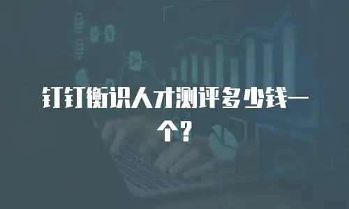 钉钉衡识人才测评多少钱一个？