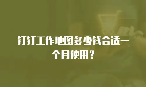钉钉工作地图多少钱合适一个月使用？