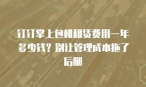 钉钉掌上包机租赁费用一年多少钱？别让管理成本拖了后腿