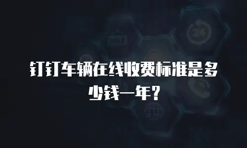 钉钉车辆在线收费标准是多少钱一年？