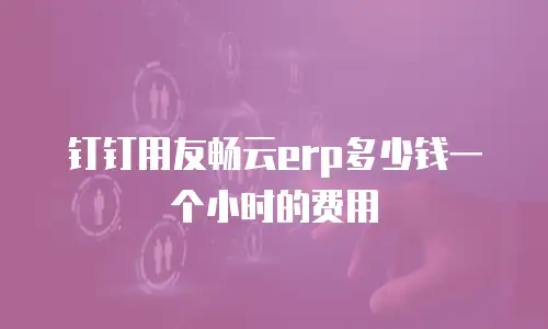 钉钉用友畅云erp多少钱一个小时的费用