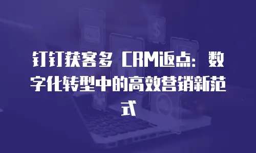 钉钉获客多 CRM返点：数字化转型中的高效营销新范式