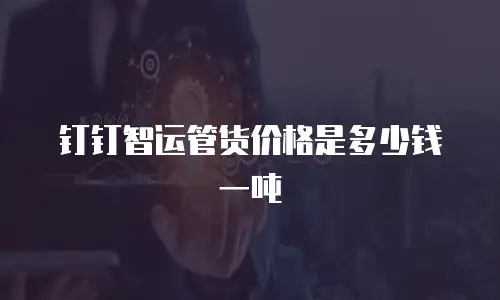 钉钉智运管货价格是多少钱一吨