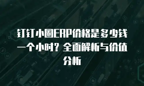 钉钉小圈ERP价格是多少钱一个小时？全面解析与价值分析