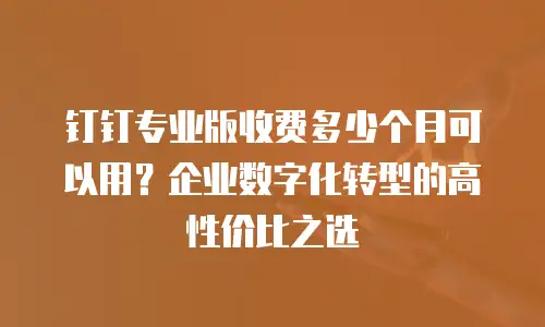 钉钉专业版收费多少个月可以用？企业数字化转型的高性价比之选