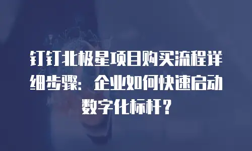 钉钉北极星项目购买流程详细步骤：企业如何快速启动数字化标杆？