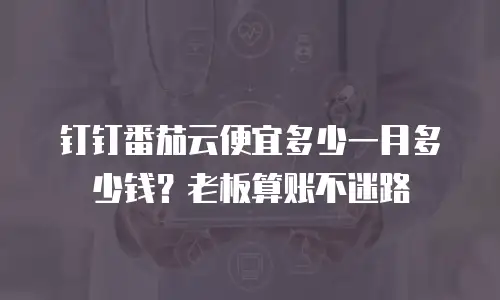 钉钉番茄云便宜多少一月多少钱？老板算账不迷路