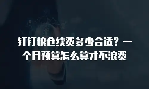 钉钉粮仓续费多少合适？一个月预算怎么算才不浪费