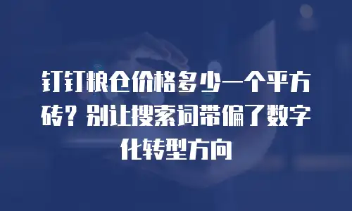 钉钉粮仓价格多少一个平方砖？别让搜索词带偏了数字化转型方向