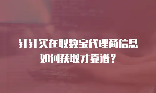 钉钉实在取数宝代理商信息如何获取才靠谱？