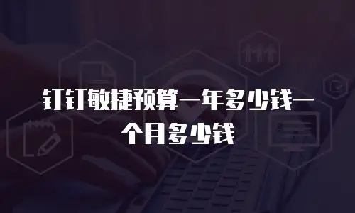 钉钉敏捷预算一年多少钱一个月多少钱