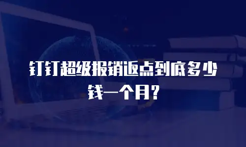 钉钉超级报销返点到底多少钱一个月？