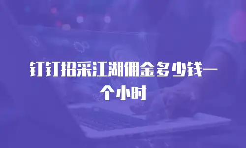 钉钉招采江湖佣金多少钱一个小时