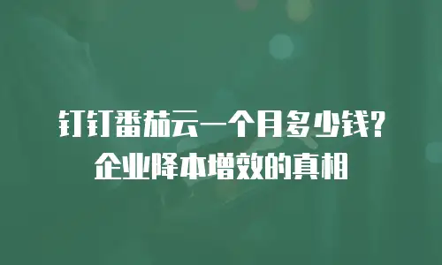 钉钉番茄云一个月多少钱？企业降本增效的真相
