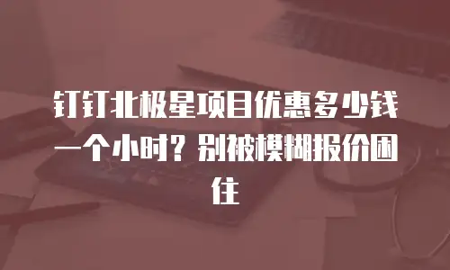 钉钉北极星项目优惠多少钱一个小时？别被模糊报价困住