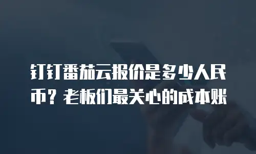 钉钉番茄云报价是多少人民币？老板们最关心的成本账