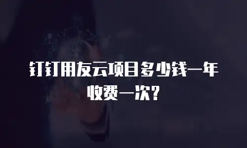 钉钉用友云项目多少钱一年收费一次？