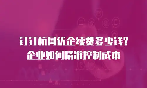 钉钉杭网优企续费多少钱？企业如何精准控制成本