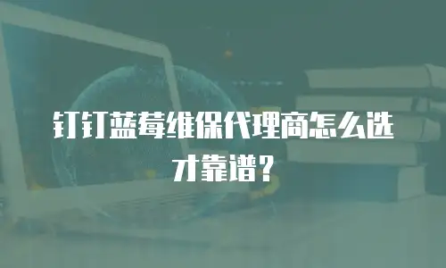 钉钉蓝莓维保代理商怎么选才靠谱？