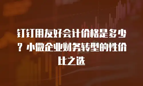 钉钉用友好会计价格是多少？小微企业财务转型的性价比之选