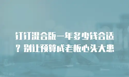 钉钉混合版一年多少钱合适？别让预算成老板心头大患