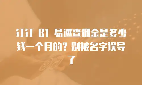钉钉 B1 易巡查佣金是多少钱一个月的？别被名字误导了