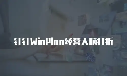 钉钉WinPlan经营大脑打折