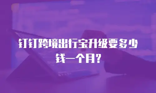 钉钉跨境出行宝升级要多少钱一个月？
