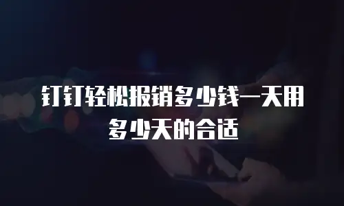 钉钉轻松报销多少钱一天用多少天的合适