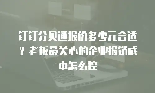钉钉分贝通报价多少元合适？老板最关心的企业报销成本怎么控