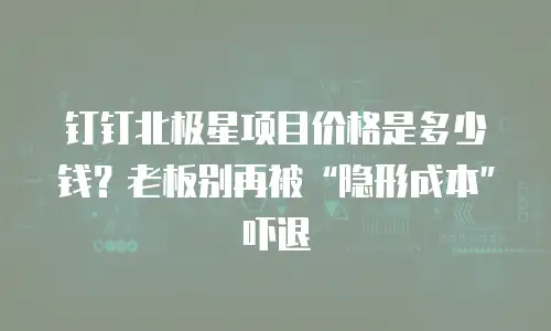 钉钉北极星项目价格是多少钱？老板别再被“隐形成本”吓退