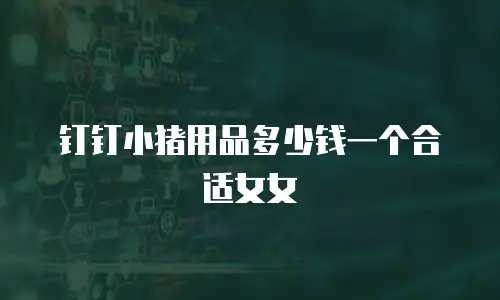 钉钉小猪用品多少钱一个合适女女