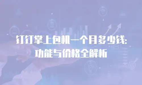 钉钉掌上包机一个月多少钱：功能与价格全解析