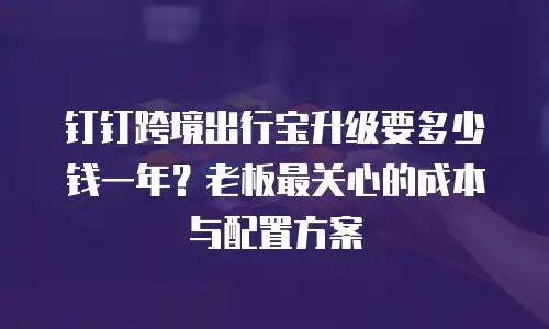 钉钉跨境出行宝升级要多少钱一年？老板最关心的成本与配置方案