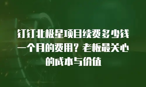 钉钉北极星项目续费多少钱一个月的费用？老板最关心的成本与价值