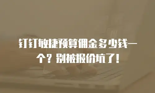 钉钉敏捷预算佣金多少钱一个？别被报价坑了！