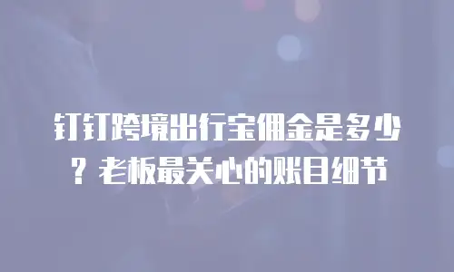 钉钉跨境出行宝佣金是多少？老板最关心的账目细节