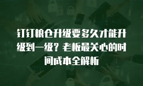 钉钉粮仓升级要多久才能升级到一级？老板最关心的时间成本全解析