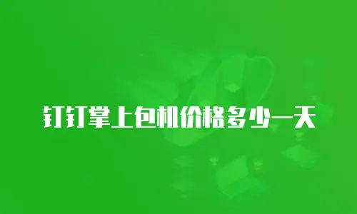 钉钉掌上包机价格多少一天