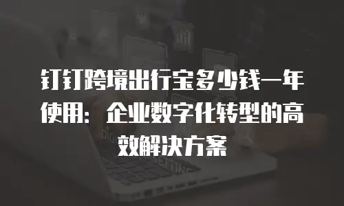 钉钉跨境出行宝多少钱一年使用：企业数字化转型的高效解决方案